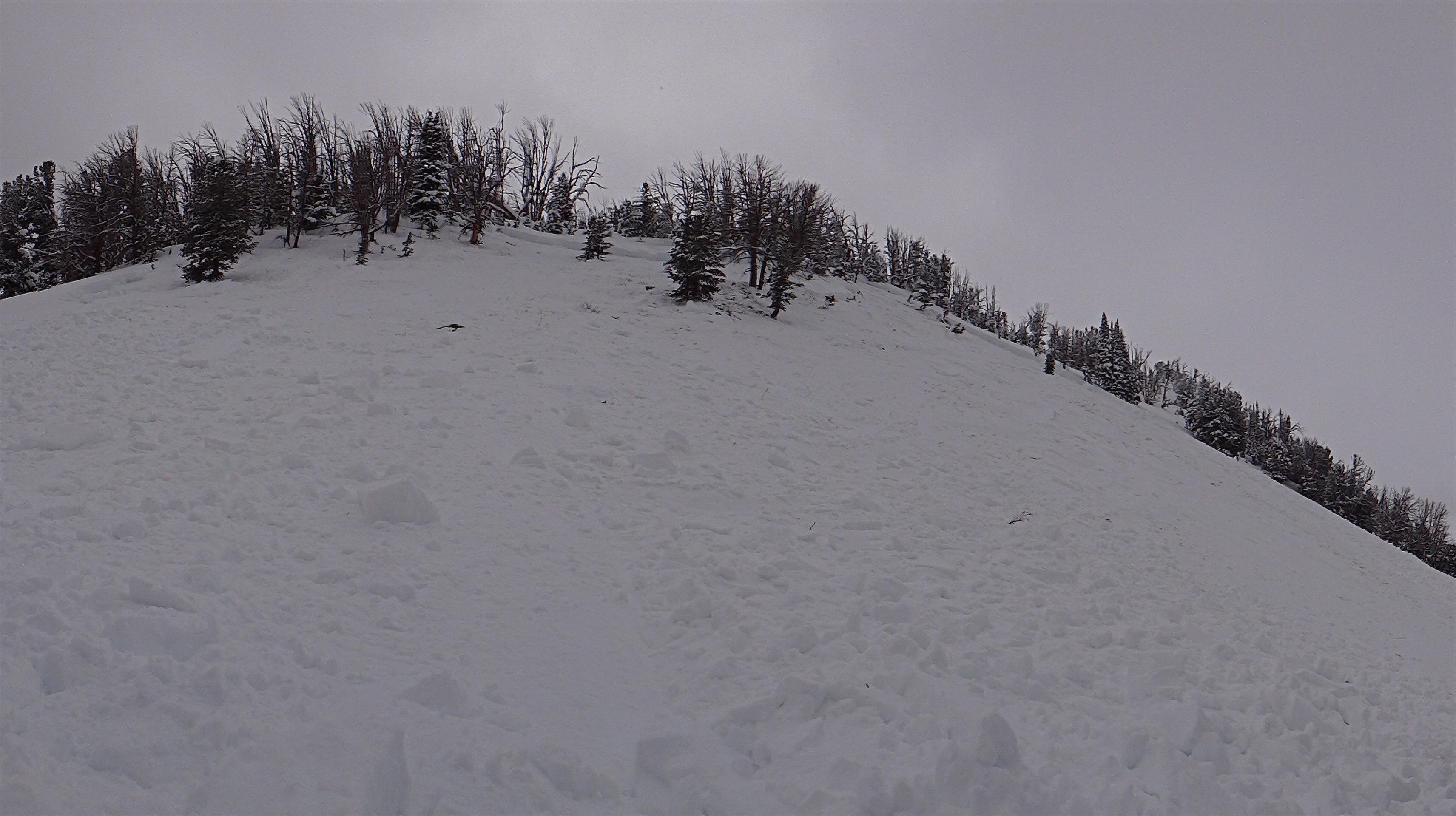 Human Triggered Avalanche Beehive Basin - 1/10/14 Human Triggered Avalanche Beehive Basin - 1/10/14