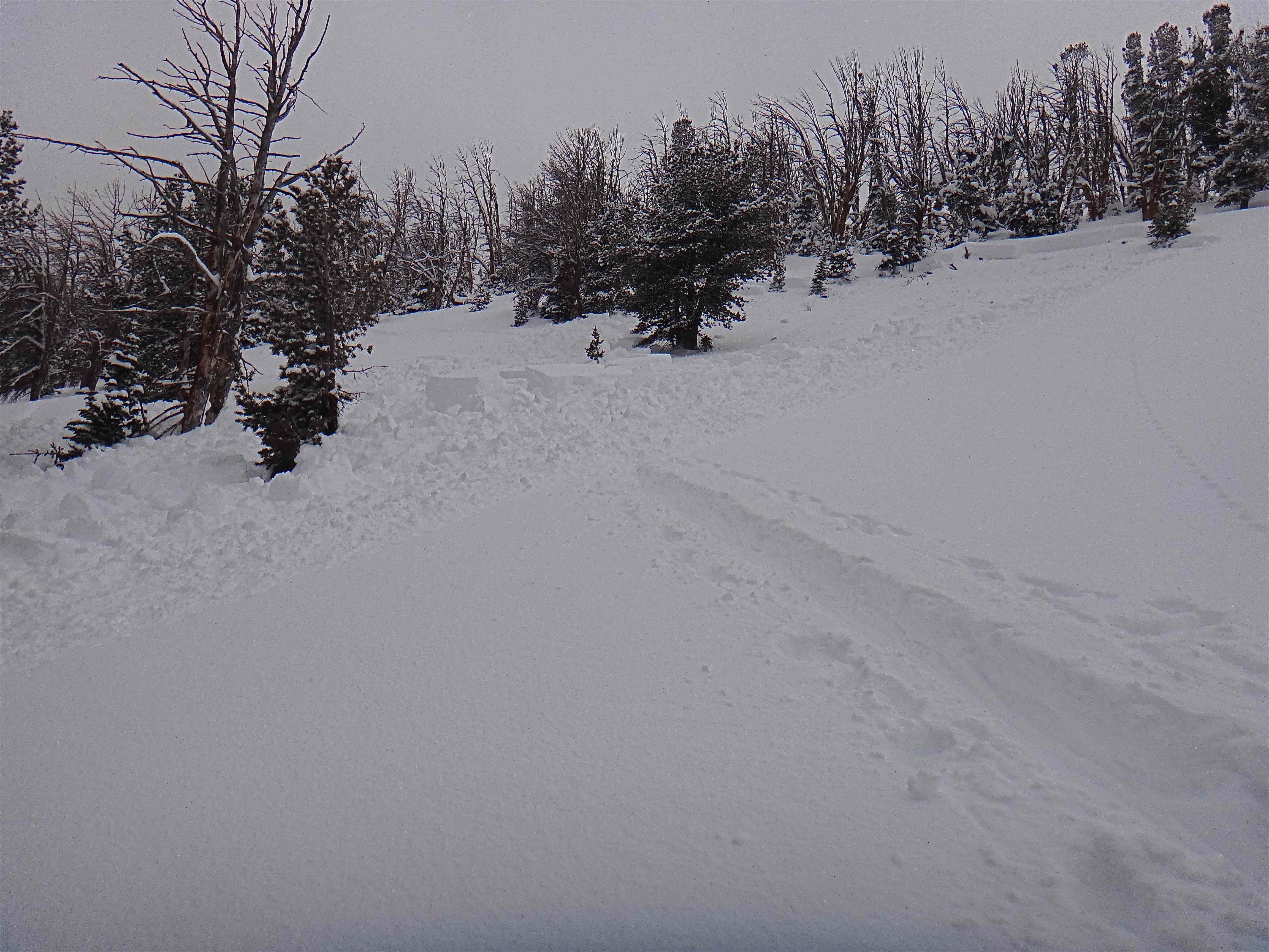 Human Triggered Avalanche Beehive Basin - 1/10/14 Human Triggered Avalanche Beehive Basin - 1/10/14