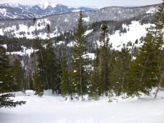 Beehive: Looking down from crown